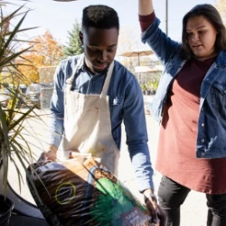 Not for Profit Management