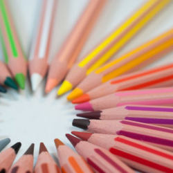 Educational In Service & Teacher