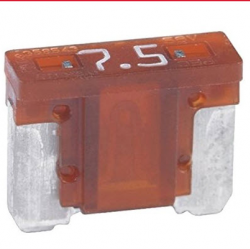 Auto Parts