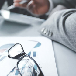 Business Portfolio Development