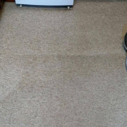 Carpet Cleaning