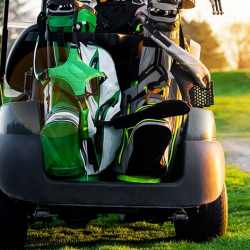 Electric Golf Cart Batteries