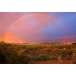 Energy, Environment and Natural Resources