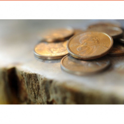 Bankruptcy and Creditor's Rights