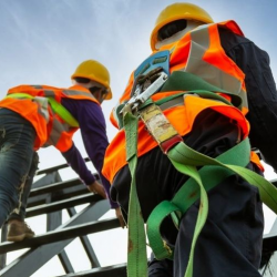 Occupational Health & Safety