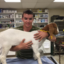 Emergency and Urgent Care
