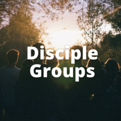 Disciple Groups