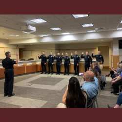 Agenda's and Minutes