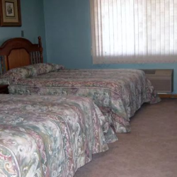 Homestead Cooperative of Greenfield