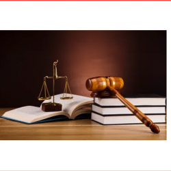 Virtual Internship Program