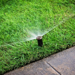 Sprinkler System Installation