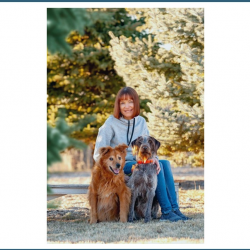 Free Consultation Call