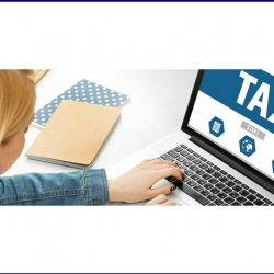 Delinquent Tax Collection