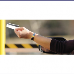 Toll Road Collections