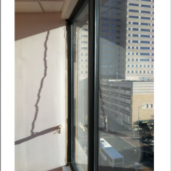 Window and Door Repairs