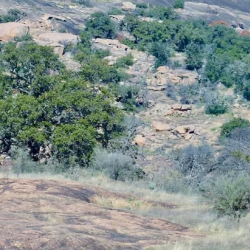 Enchanted Rock State Natural Area