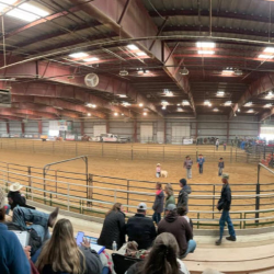 Horse Palace
