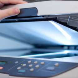 Document Destruction