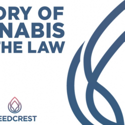 History of Cannabis and the Law