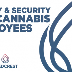 Safety & Security for Cannabis Employees