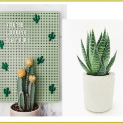 Complete Brand Experience