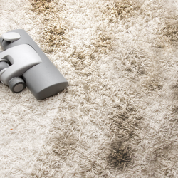 Carpet Cleaning