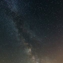 Charitable Organization