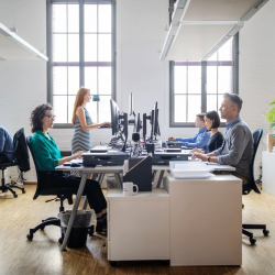 Business Lines Insurance