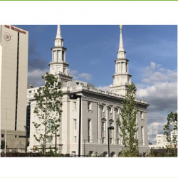 Owner's Representation