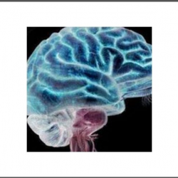 Neurological Diagnostic Testing ,