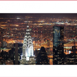 Business Development