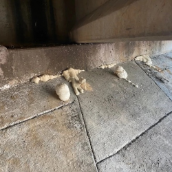 Polyurethane Services