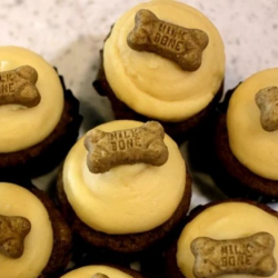 PupCakes (for four legged friend)