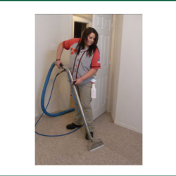  Carpet Cleaning