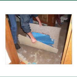  Flood Restoration and Water Damage