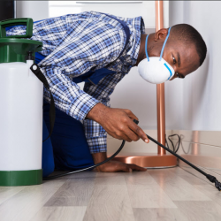 Full Termite Treatment