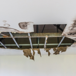Roof Leak