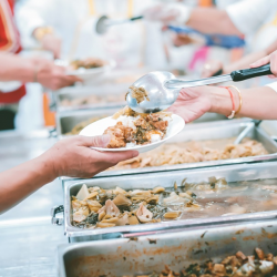 Volunteer Opportunities