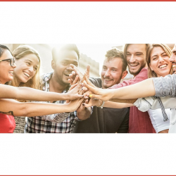 Partners and Sponsors