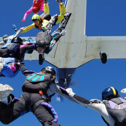 Licensed Skydivers