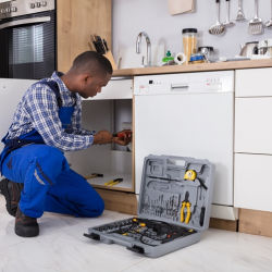 Plumbing Leaks or Issues