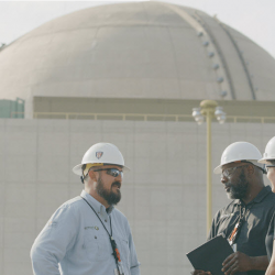 Nuclear Generation