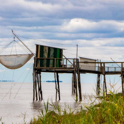 Fishing Cabins/Lodge