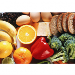 Nutrition Services