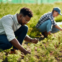 Agriculture Services