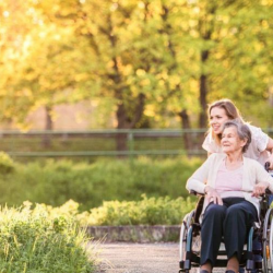 Occupational Therapy