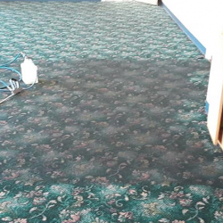 Commercial Carpet Cleaning
