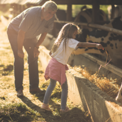 Farm and Ranch Insurance
