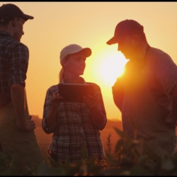 Worker's Compensation