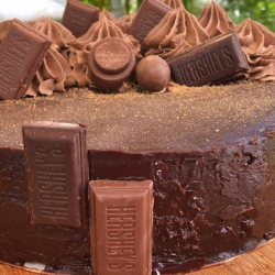 Hershey's Chocolate Cake